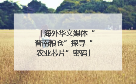 海外华文媒体“晋南粮仓”探寻“农业芯片”密码