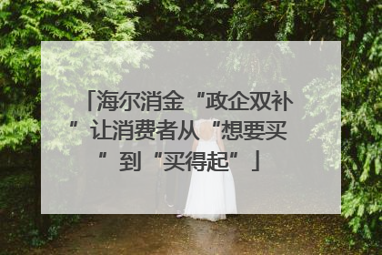 海尔消金“政企双补”让消费者从“想要买”到“买得起”