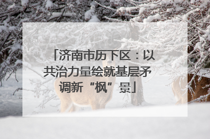 济南市历下区：以共治力量绘就基层矛调新“枫”景