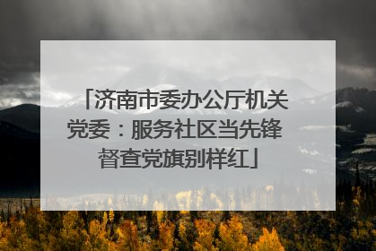 济南市委办公厅机关党委：服务社区当先锋 督查党旗别样红