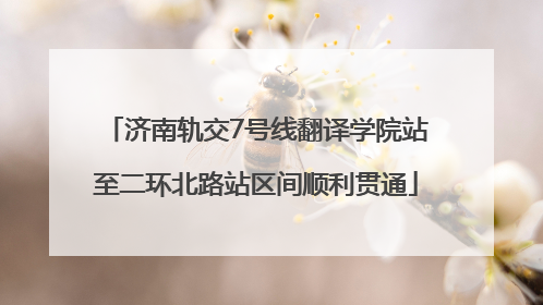 济南轨交7号线翻译学院站至二环北路站区间顺利贯通