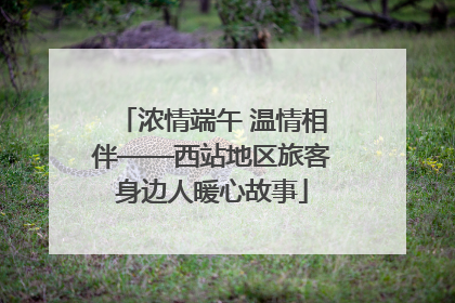 浓情端午 温情相伴——西站地区旅客身边人暖心故事