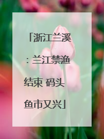 浙江兰溪：兰江禁渔结束 码头鱼市又兴