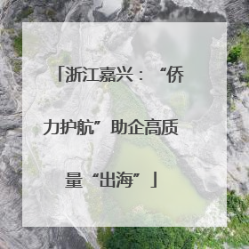 浙江嘉兴：“侨力护航”助企高质量“出海”