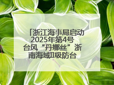 浙江海事局启动2025年第4号台风“丹娜丝”浙南海域II级防台应急响应