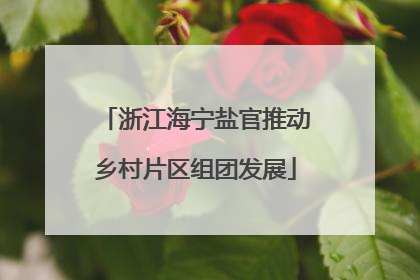 浙江海宁盐官推动乡村片区组团发展