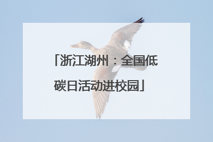 浙江湖州：全国低碳日活动进校园