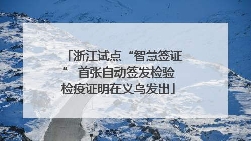 浙江试点“智慧签证” 首张自动签发检验检疫证明在义乌发出