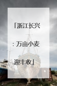 浙江长兴：万亩小麦迎丰收