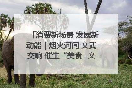 消费新场景 发展新动能｜烟火河间 文武交响 催生“美食+文化”消费新场景