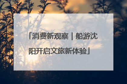 消费新观察｜船游沈阳开启文旅新体验
