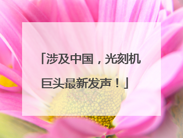 涉及中国，光刻机巨头最新发声！