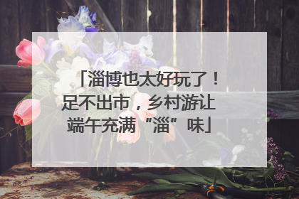 淄博也太好玩了！足不出市，乡村游让端午充满“淄”味