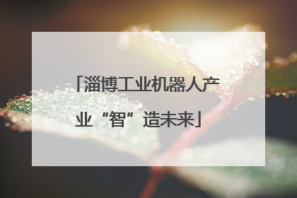 淄博工业机器人产业“智”造未来