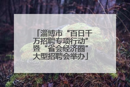 淄博市“百日千万招聘专项行动”暨“省会经济圈”大型招聘会举办