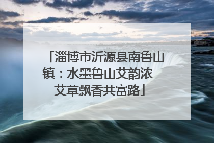 淄博市沂源县南鲁山镇：水墨鲁山艾韵浓 艾草飘香共富路