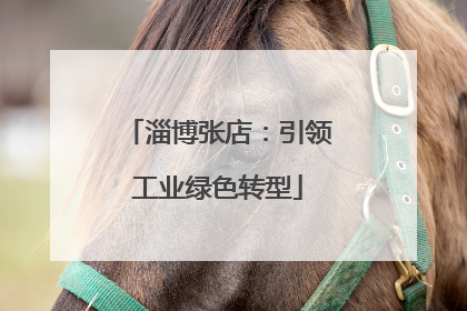 淄博张店：引领工业绿色转型