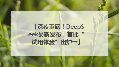 深夜重磅！DeepSeek最新发布，首批“试用体验”出炉→