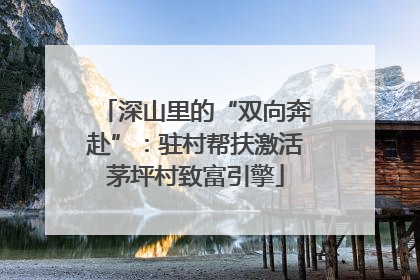深山里的“双向奔赴”：驻村帮扶激活茅坪村致富引擎