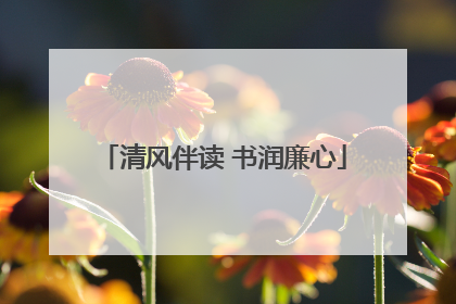 清风伴读 书润廉心