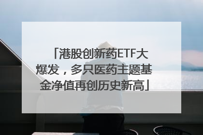 港股创新药ETF大爆发，多只医药主题基金净值再创历史新高