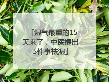湿气最重的15天来了，中医提出5件事祛湿