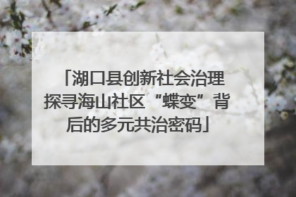 湖口县创新社会治理 探寻海山社区“蝶变”背后的多元共治密码