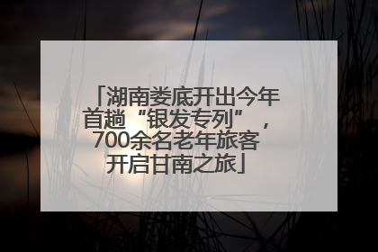 湖南娄底开出今年首趟“银发专列”，700余名老年旅客开启甘南之旅