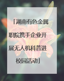 湖南有色金属职院携手企业开展无人机科普进校园活动