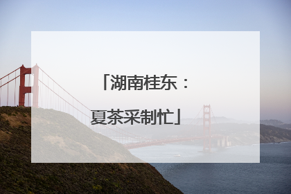 湖南桂东：夏茶采制忙