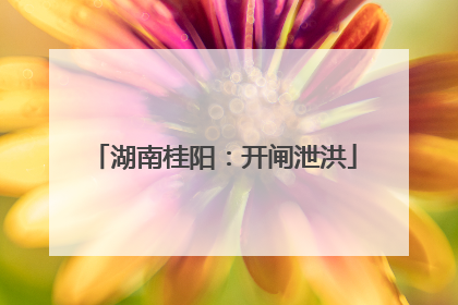 湖南桂阳：开闸泄洪