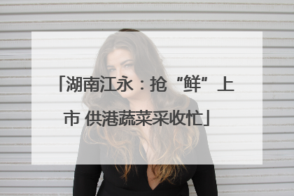 湖南江永：抢“鲜”上市 供港蔬菜采收忙