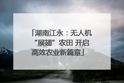 湖南江永：无人机“展翅”农田 开启高效农业新篇章
