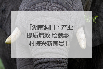 湖南洞口：产业提质增效 绘就乡村振兴新图景