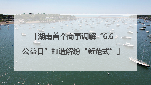湖南首个商事调解“6.6 公益日”打造解纷“新范式”
