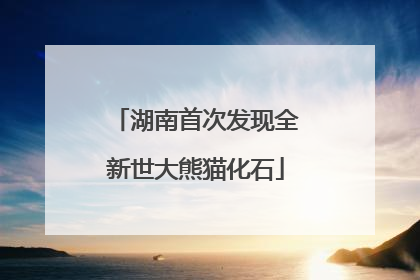 湖南首次发现全新世大熊猫化石