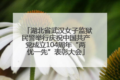 湖北省武汉女子监狱民警举行庆祝中国共产党成立104周年“两优一先”表彰大会