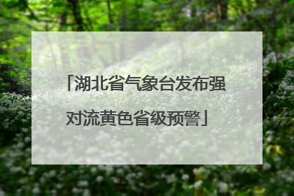 湖北省气象台发布强对流黄色省级预警