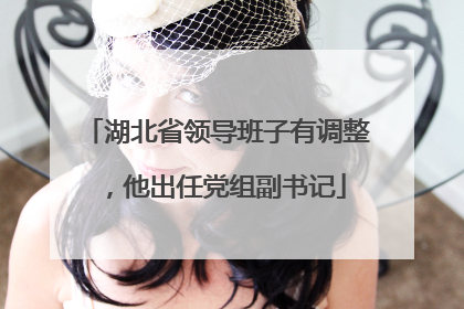 湖北省领导班子有调整，他出任党组副书记