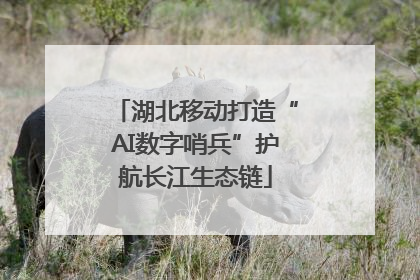 湖北移动打造“AI数字哨兵”护航长江生态链