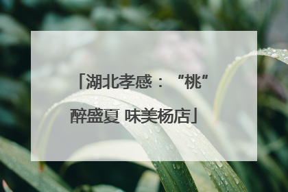 湖北孝感：“桃”醉盛夏 味美杨店