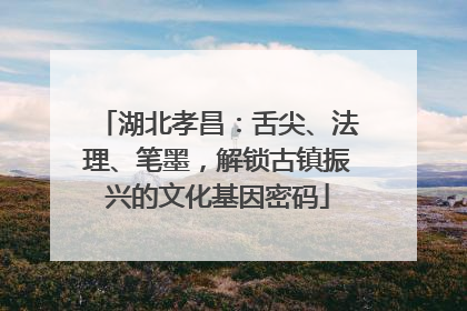 湖北孝昌：舌尖、法理、笔墨，解锁古镇振兴的文化基因密码