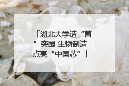 湖北大学造“菌”突围 生物制造点亮“中国芯”
