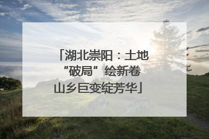 湖北崇阳：土地“破局”绘新卷 山乡巨变绽芳华