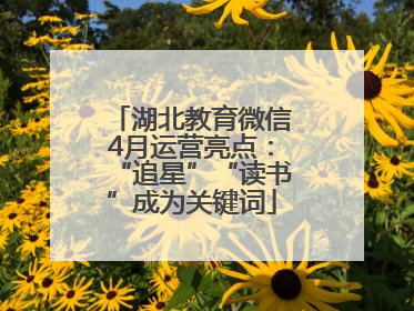 湖北教育微信4月运营亮点：“追星”“读书”成为关键词