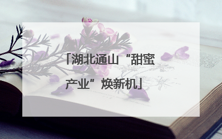 湖北通山“甜蜜产业”焕新机