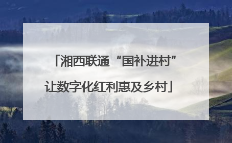 湘西联通“国补进村”让数字化红利惠及乡村