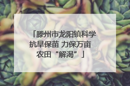 滕州市龙阳镇科学抗旱保苗 力保万亩农田“解渴”