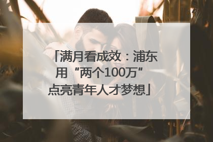 满月看成效:浦东用“两个100万”点亮青年人才梦想