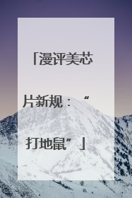 漫评美芯片新规：“打地鼠”